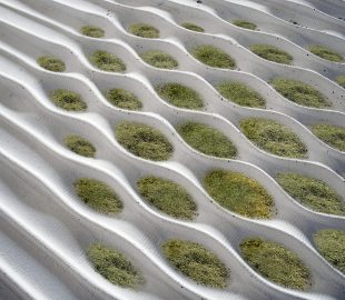 Bioreceptive beton panelen van Richard Beckett en Marcos Cruz